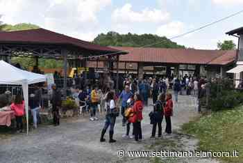 Montechiaro d’Acqui: Grande partecipazione per “L’Anciuada del Castlan” (gallery) - L'Ancora