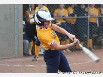 Saline Softball Sweeps Tecumseh for Eighth Straight Win - thesuntimesnews.com