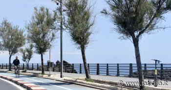 Catania, in arrivo altre 190 telecamere: ma bisogna fare in fretta per non perdere il finanziamento - La Sicilia