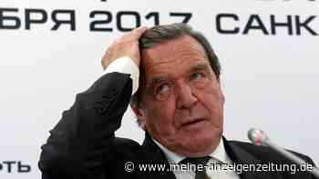 Schröder-Weggefährten machen sich ernsthaft Sorgen: „Braucht eigentlich Hilfe und man erreicht ihn nicht“