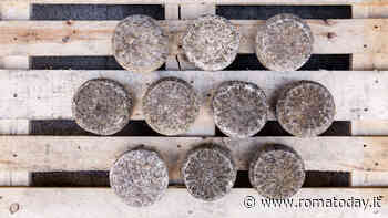 Formaticum, il salone del formaggio italiano e delle rarità casearie