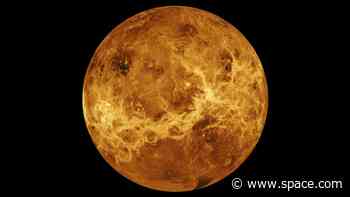 Venus-like worlds are surprisingly common in 'habitable' zones