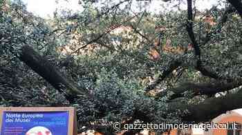 Modena, la Notte dei Musei tra musica e danza in Galleria Estense e nei palazzi più belli - La Gazzetta di Modena