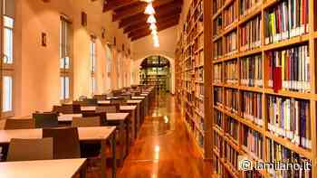 Modena, omicidio tra gli scaffali della biblioteca di Memo - La Milano