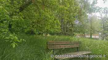 Modena, la denuncia. Il Bonvi Parken ridotto a una giungla: l'erba alta un metro - La Gazzetta di Modena