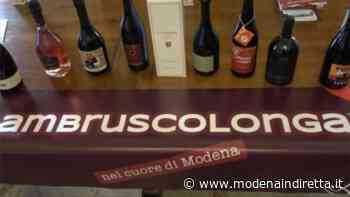 Il 6 maggio Modena ospita la Lambruscolonga. VIDEO - modenaindiretta.it
