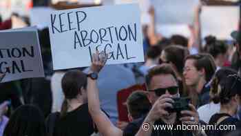 South Florida State Sen. to Draft Bill Protecting Abortion, Rollback 15-Week Ban