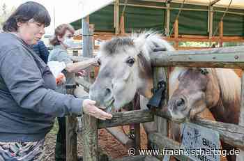 Regens Wagner Burgkunstadt: Neue Stiftung spendet Geld für ein neues Pony in der Reittherapie - Fränkischer Tag