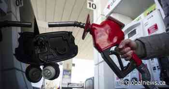 Record prices at the pump in New Brunswick fuel frustration