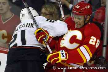 Aliu lands book deal on how he confronted racism in hockey - Lacombe Express