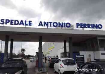 Brindisi, coppia intossicata dopo aver mangiato funghi velenosi - TRM Radiotelevisione del Mezzogiorno