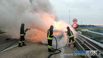 Auto prende fuoco durante la marcia, il conducente fa in tempo a mettersi in salvo - BrindisiReport