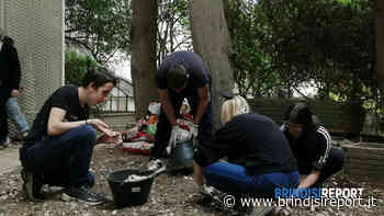 Un orto didattico negli spazi aperti del Museo Archeologico Ribezzo - BrindisiReport