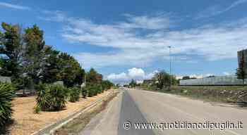 Tentano rapina al portavalori, a Brindisi banditi messi in fuga dai vigilanti - quotidianodipuglia.it