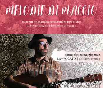 Putignano: al Teatro comunale in scena la compagnia 'Figli di Farinella', Lavvocato in concerto al Museo Civico - Giornale di Puglia