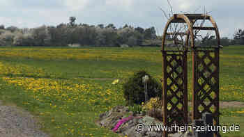 Boos will weiter wachsen: Gemeinde möchte für Familien attraktiv bleiben - Rhein-Zeitung