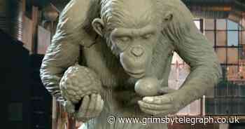 New public art exhibition raises awareness of plight of chimpanzees - Grimsby Live