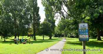 Police search plane circled Grimsby's Weelsby Woods for three hours - Grimsby Live