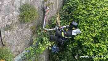 Benevento, monopattino elettrico lanciato nel fiume: quando l'idiozia non ha limite - NTR24