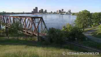 Ottawa family sues city for $2 million following fatal bridge jump | CTV News - CTV News Ottawa