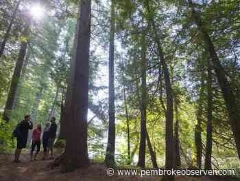 Ottawa Valley Tourist Association announces new board of directors, learns about Sustainable Tourism Assessment Program - Pembroke Observer