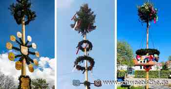 Maibaum-Fotoaktion Kreis Ravensburg: Jetzt abstimmen - Schwäbische