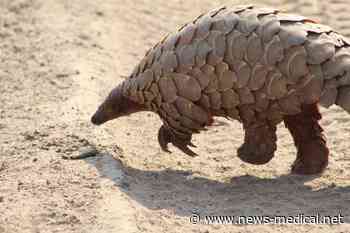 Pathogenicity and transmissibility of SARS-CoV-2-related pangolin coronavirus - News-Medical.Net