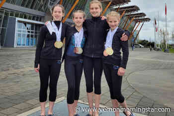 Vernon gymnasts dynamic in Delta - Vernon Morning Star