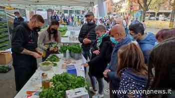 Il basilico genovese Dop di Andora protagonista ad Expo Flora con i laboratori di pesto al mortaio di Simone Peirano - SavonaNews.it