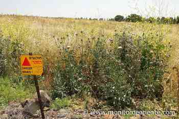 8,5 millones de iraquíes viven entre minas letales - Monitor De Oriente