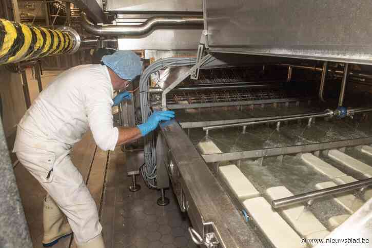 “Meer dan 3.000 testen leverden geen besmette producten op”: kaas van Milcobel mag terug verkocht worden