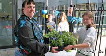 Stedelijke Basisschool Eksaarde verkoopt bloemen voor Oekraïne - Het Laatste Nieuws
