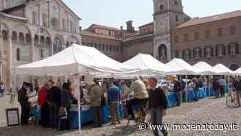 Sotto i portici di Piazza Grande a Modena la 71° edizione di Libriamodena - ModenaToday