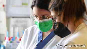 Prato, piano per sfoltire le liste d'attesa. "Soddisfiamo il 68% delle richieste" - LA NAZIONE