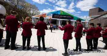 'Arts First has come back to life' - Harvard Gazette