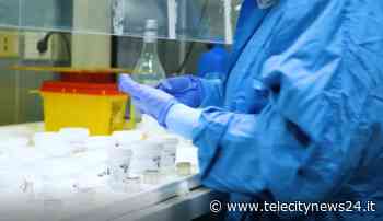 Coronavirus: lieve aumento dei positivi a Ovada e Tortona - Telecity News 24