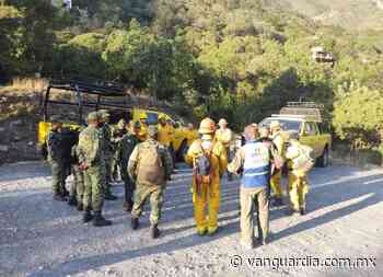 Controlan en su totalidad incendio forestal de Puerto Cedral, en Ramos Arizpe - Vanguardia MX