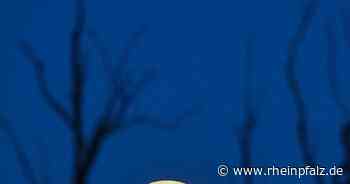 Die Musiksalon-Reihe im Nationaltheater - mannheim - DIE RHEINPFALZ - Rheinpfalz.de