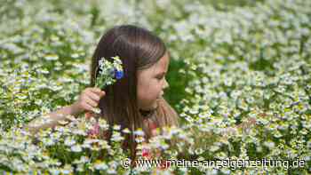 Rührende Szene: Polizisten auf Streife überraschen zwei Blumenmädchen