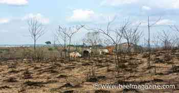 Tips to prevent your ranch from wildfires
