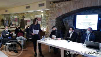 Rotonda di Panighina: opera finanziata, ma per il cantiere bisognerà attendere il prossimo anno - ForlìToday