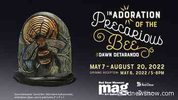 Local artist displays un-Bee-lievable exhibit at Red Deer Museum - rdnewsnow.com