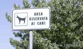 Chieri. "Aree cani poche e mal gestite" - CentoTorri