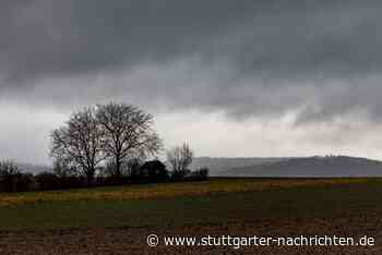 Klimawandel in Baden-Württemberg - So viel hat es zuletzt in Sindelfingen geregnet - Stuttgarter Nachrichten