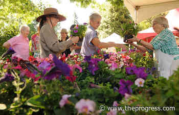Chilliwack's Gwynne Vaughan plant sale back after 2-year absence – Chilliwack Progress - Chilliwack Progress