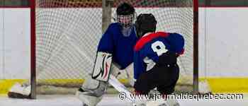 L’enseignement du patin pour tous les élèves du primaire très mal reçu dans le réseau scolaire