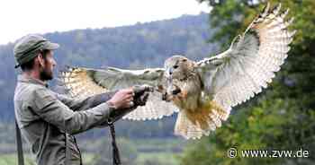 Burg Wäscherschloss und Kloster Lorch: Besonderes Programm für Mütter am 8. Mai - Zeitungsverlag Waiblingen
