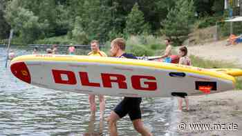 DLRG-Chef aus Zeitz wirft das Handtuch - Mitteldeutsche Zeitung