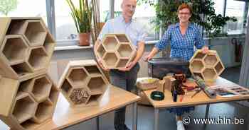 Izegemse verenigingen krijgen kans om eigen bijenhotel te vullen en plaatsen - Het Laatste Nieuws