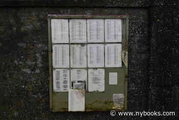 A Lesson from Ireland | Clair Wills - The New York Review of Books